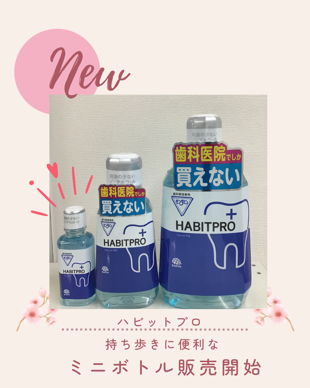 コラム